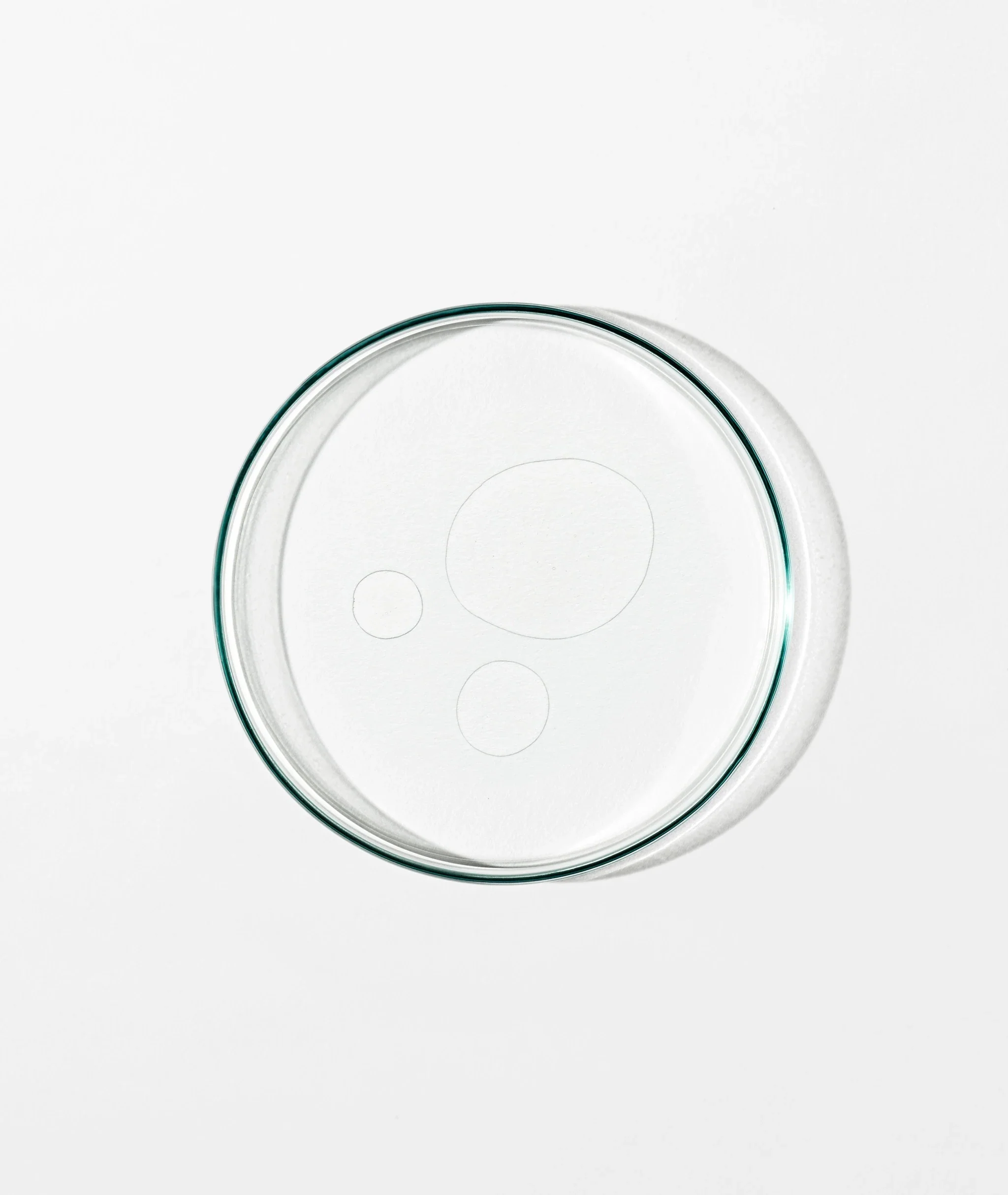 Balancing Toner: Rose, Ginseng & Chamomile - Image 2