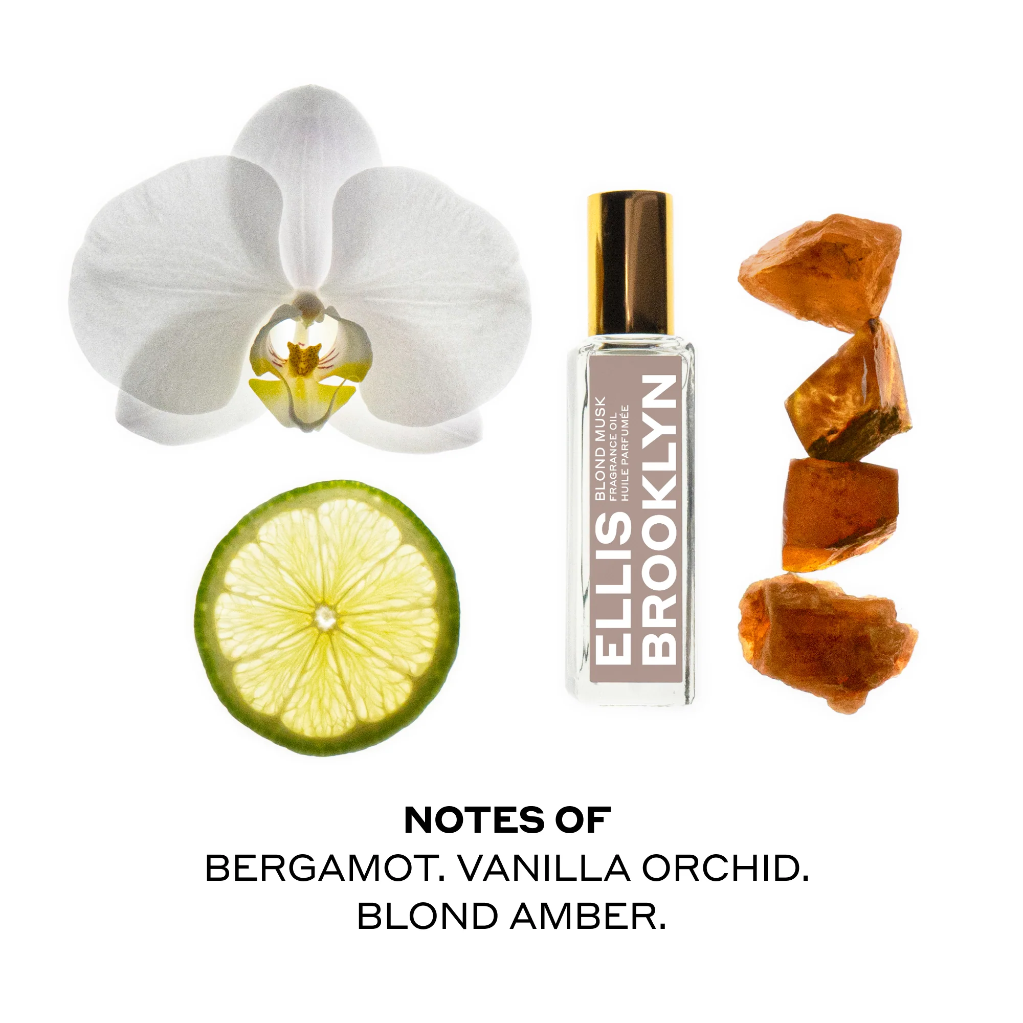 BLOND MUSK Fragrance Oil Rollerball - Image 4