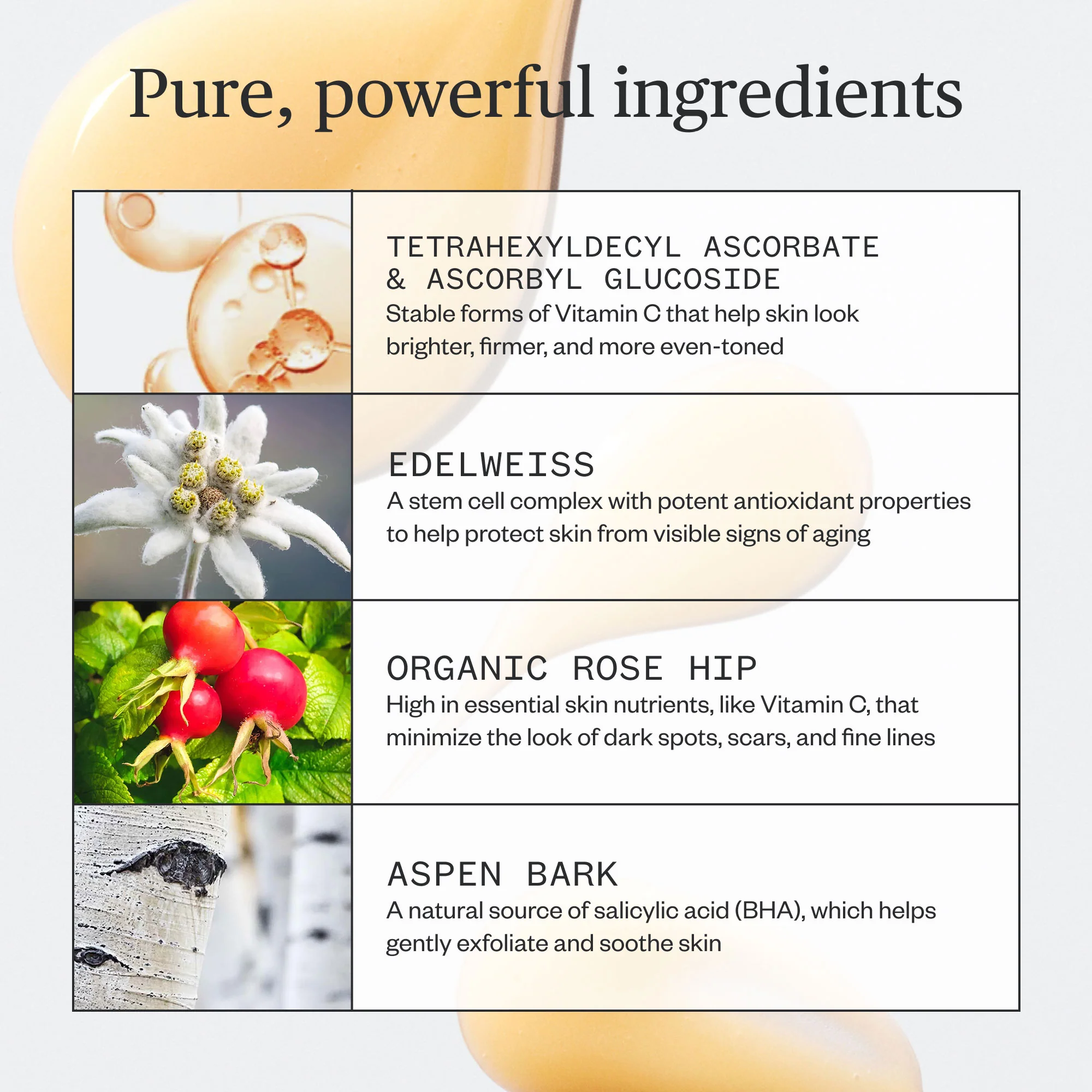 Brighten Up Vitamin C Serum - Image 5