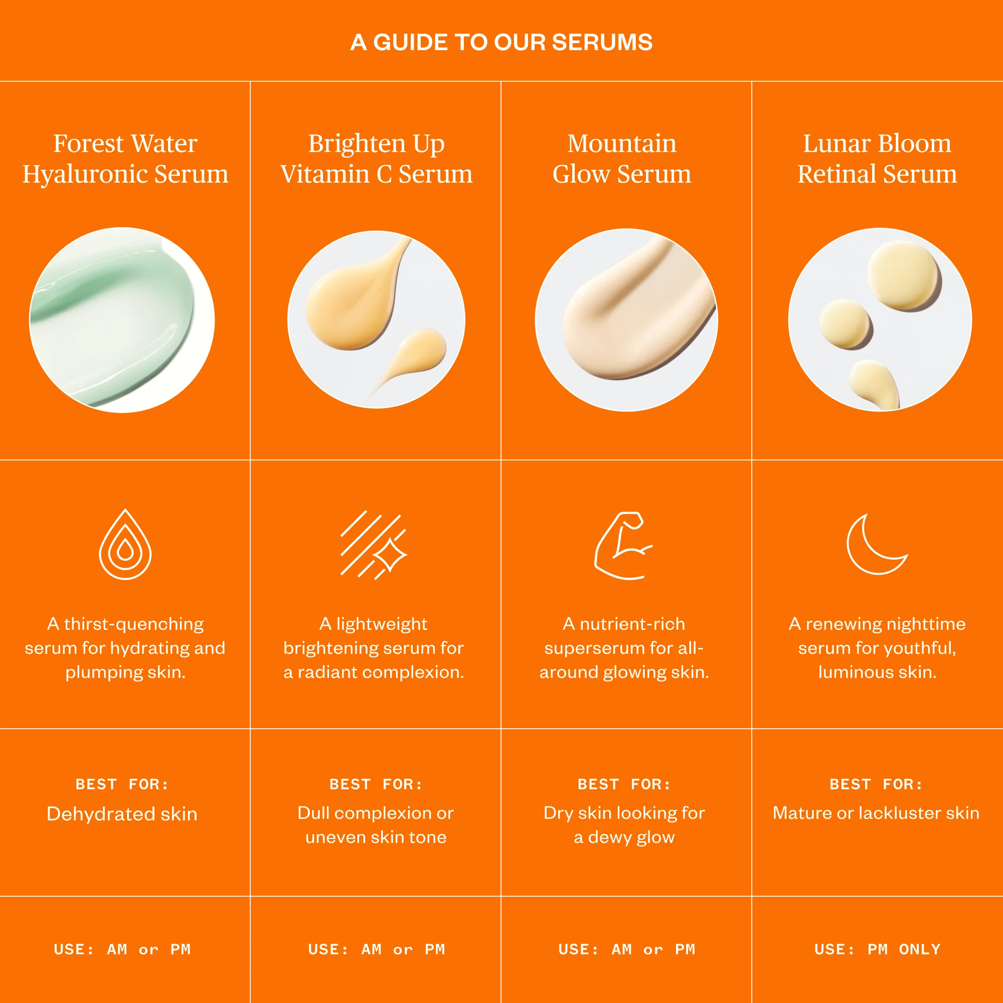 Brighten Up Vitamin C Serum - Image 7