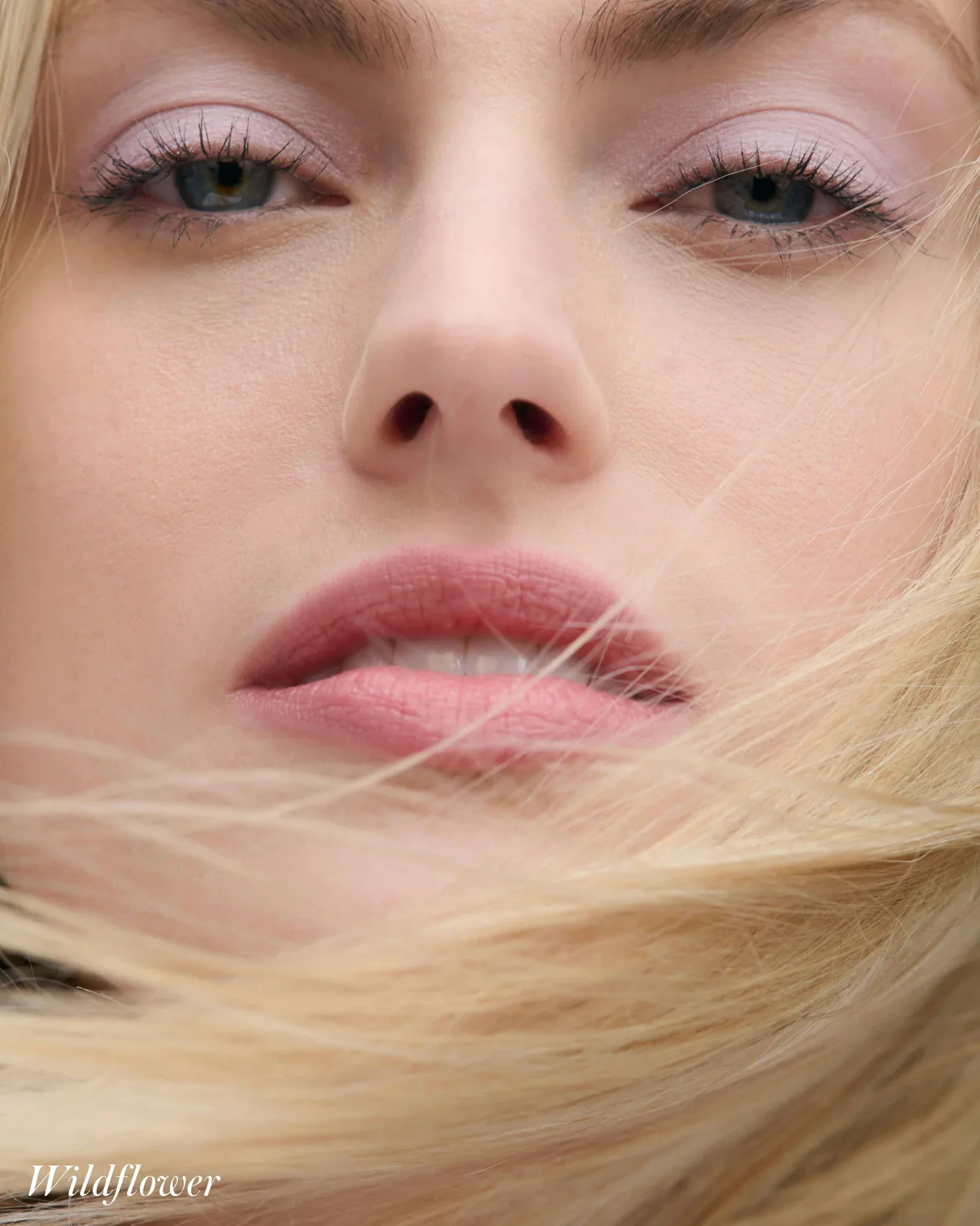 Cashmere Matte Eyelights - Image 38