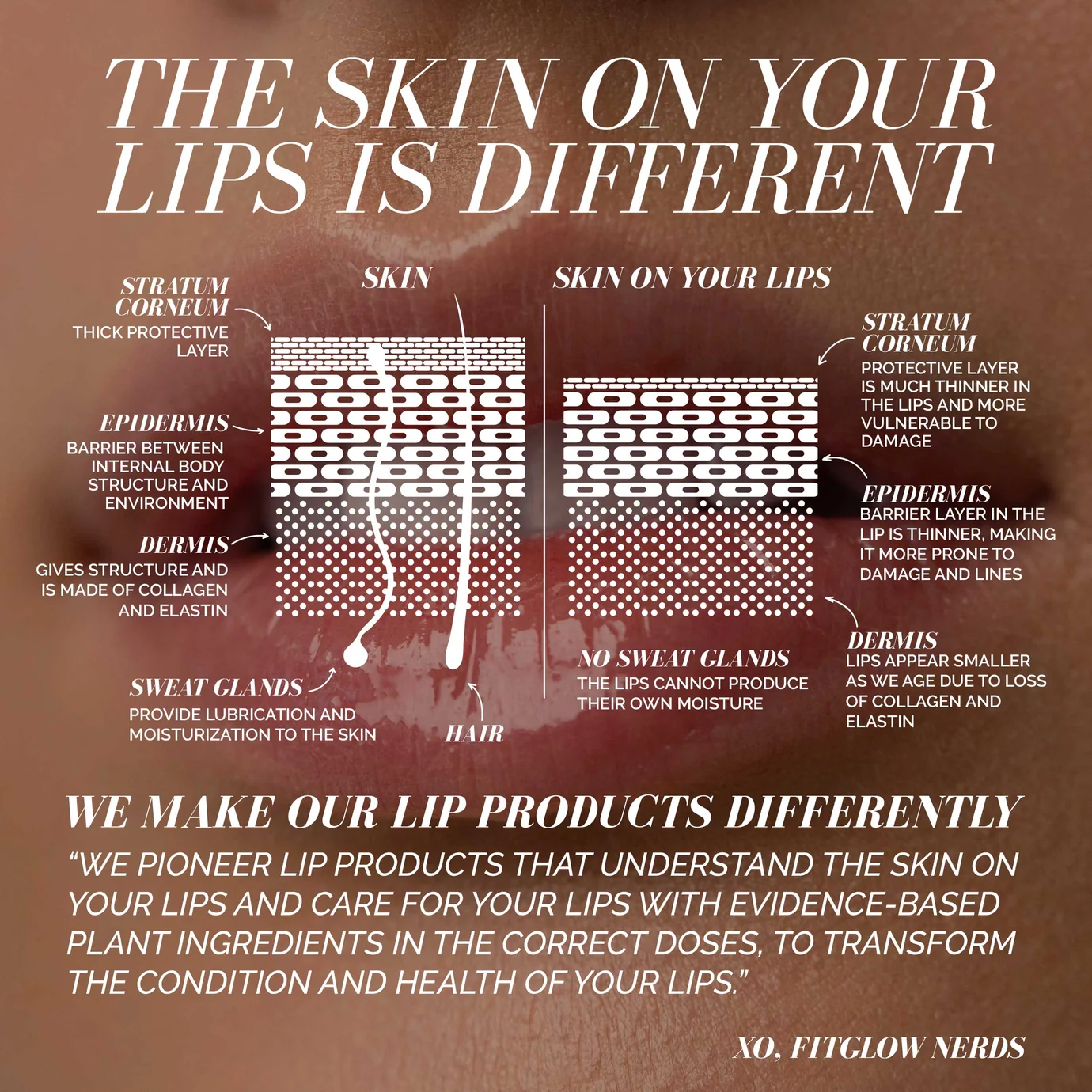 Ceramide Hydra-Balm - Image 5