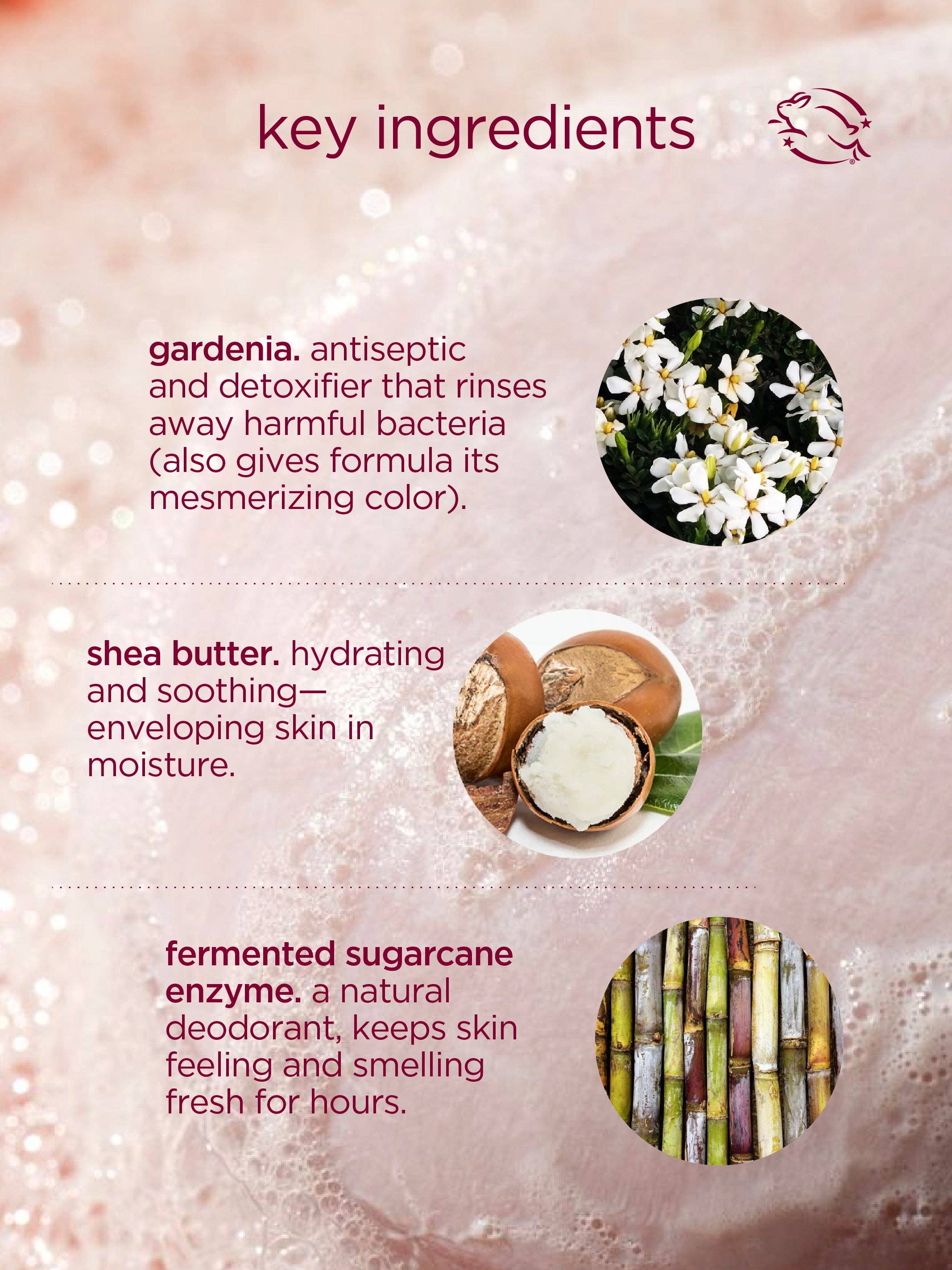 Cocoon cleanse - solid serum cleanser - Image 3