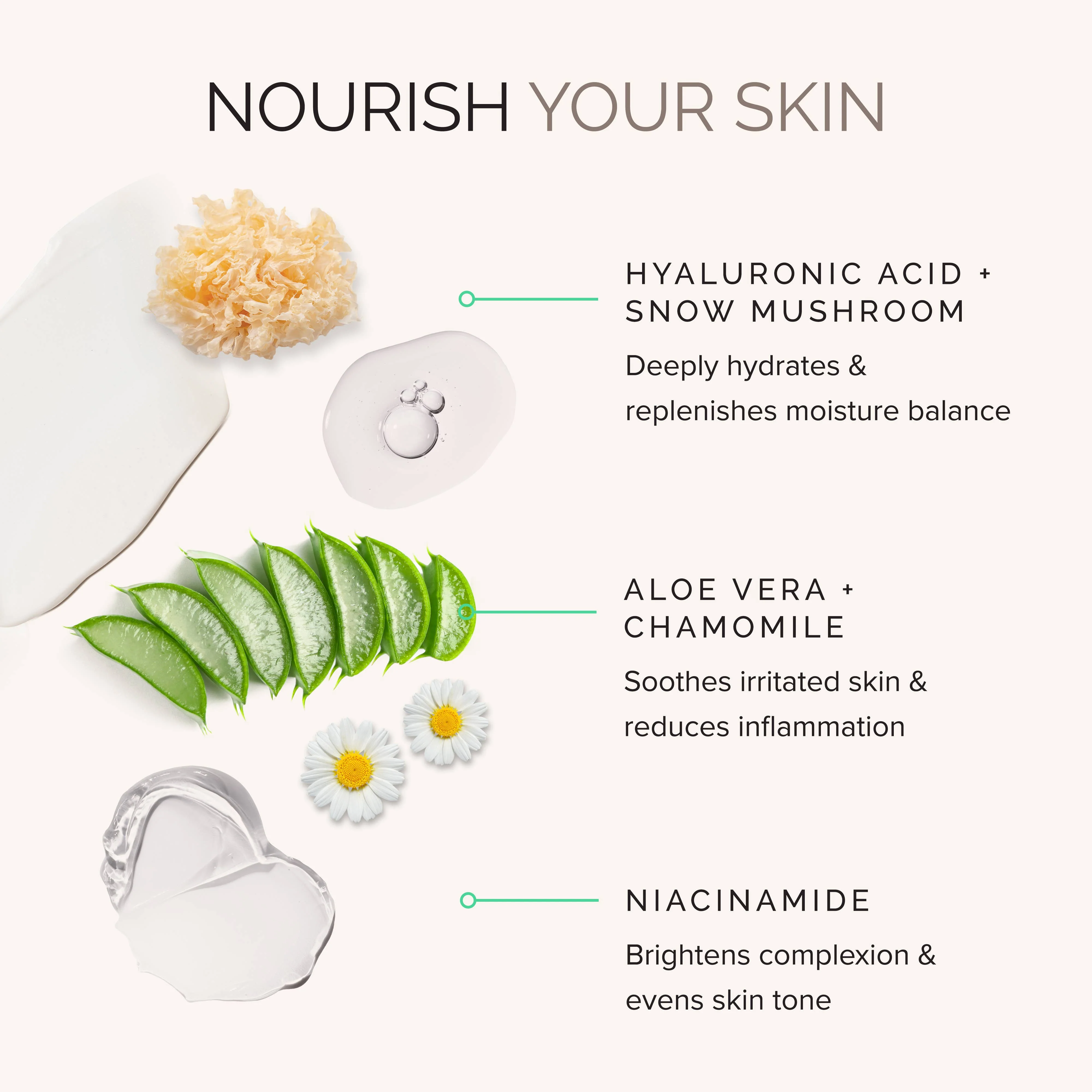 Daily Perfecting Moisturizer with SPF 30 - Image 3