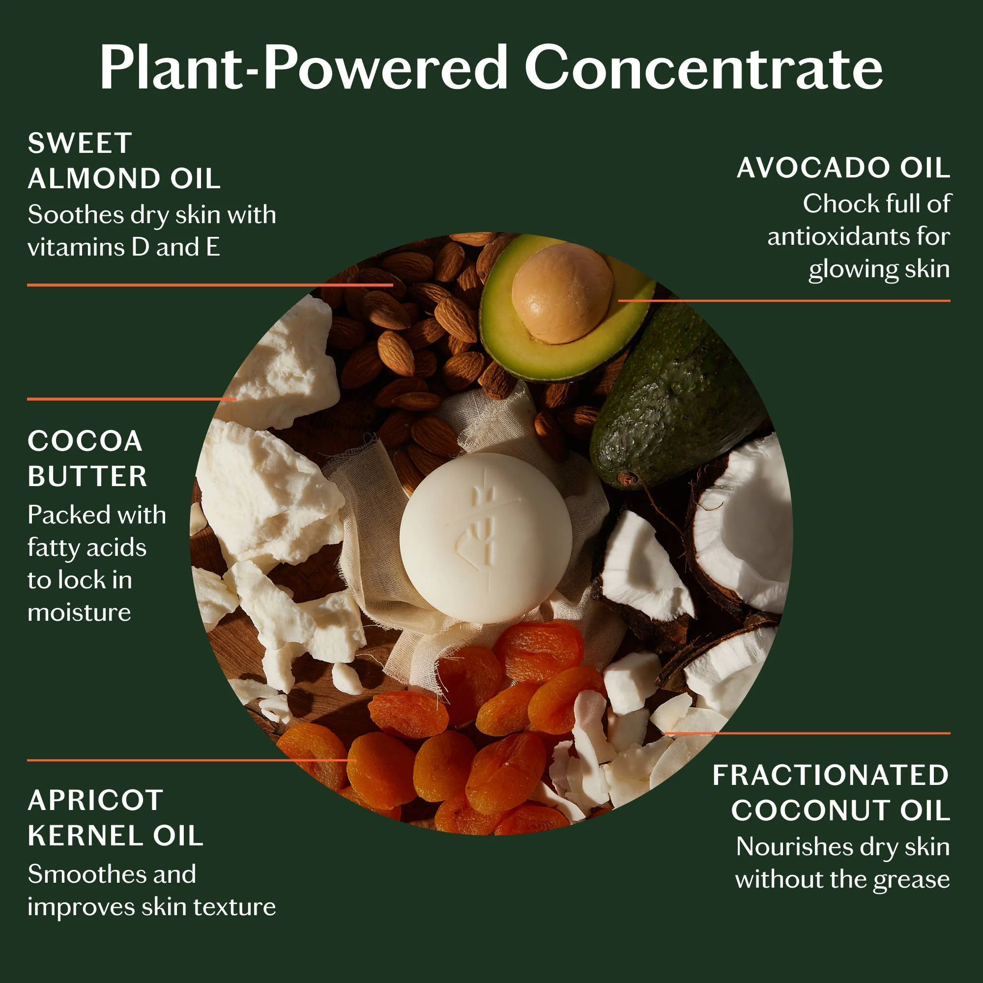 Daily Stone Deep Moisturizing Lotion Bar - Image 10