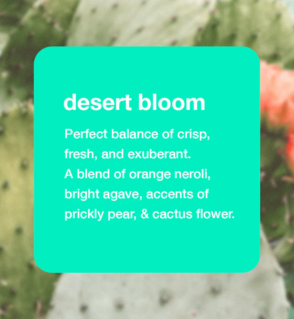 Deodorant Desert Bloom - Image 3
