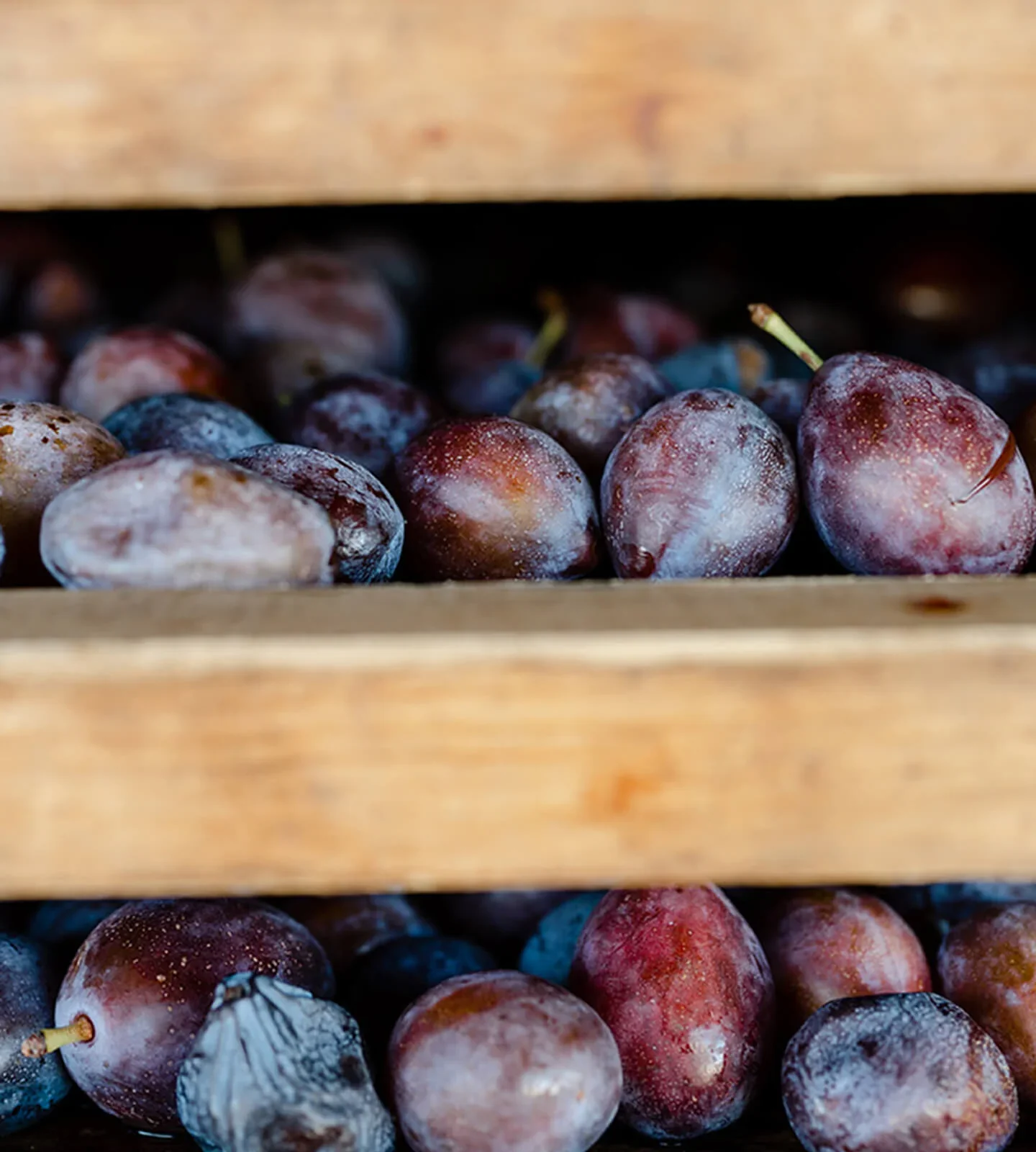 California Organic Dried Plums - Image 6