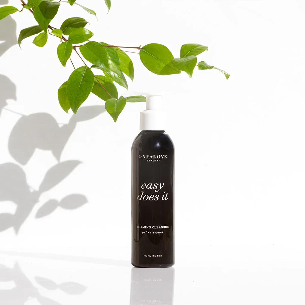 Easy Does It Foaming Cleanser - Image 3