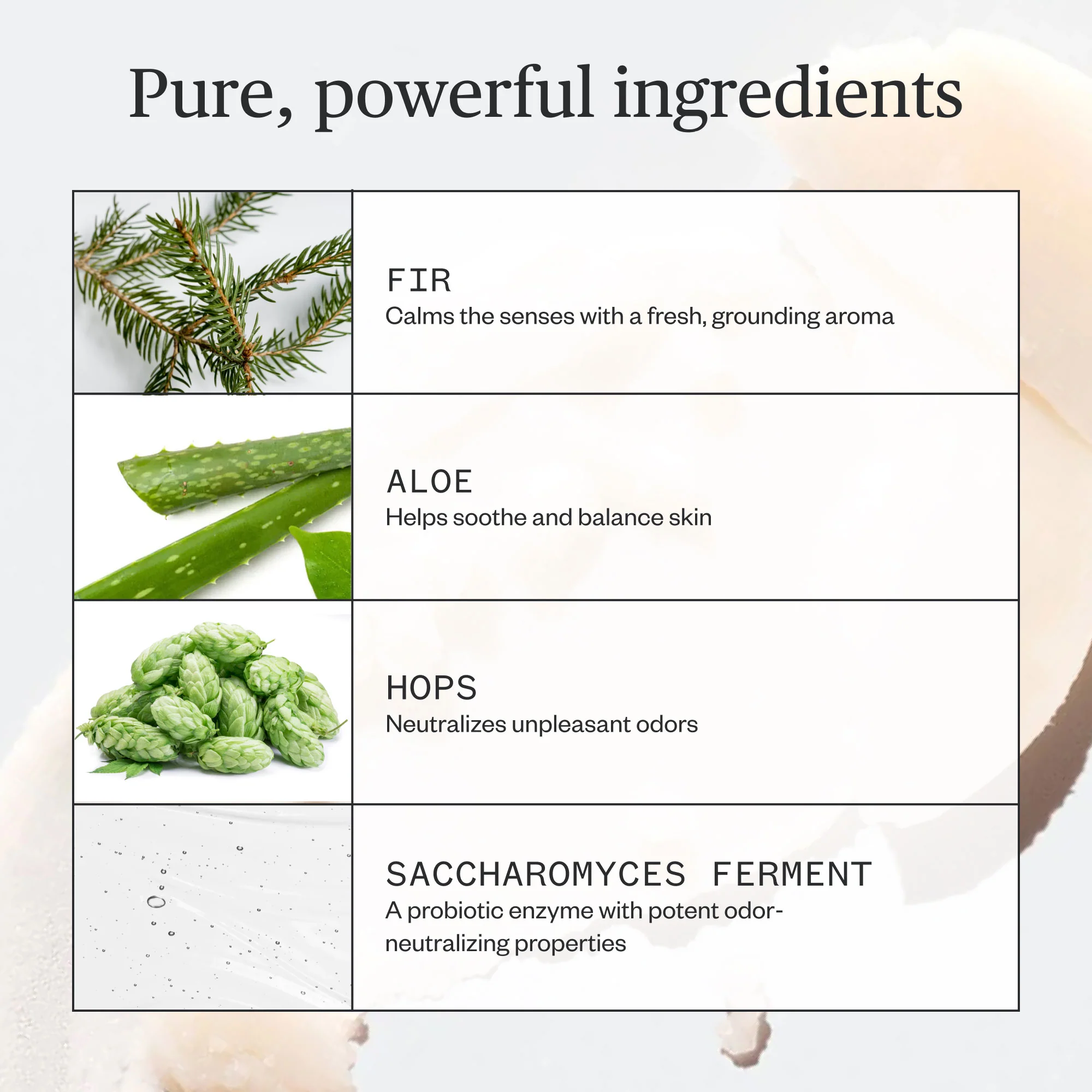 Forest Fix Deodorant - Image 5