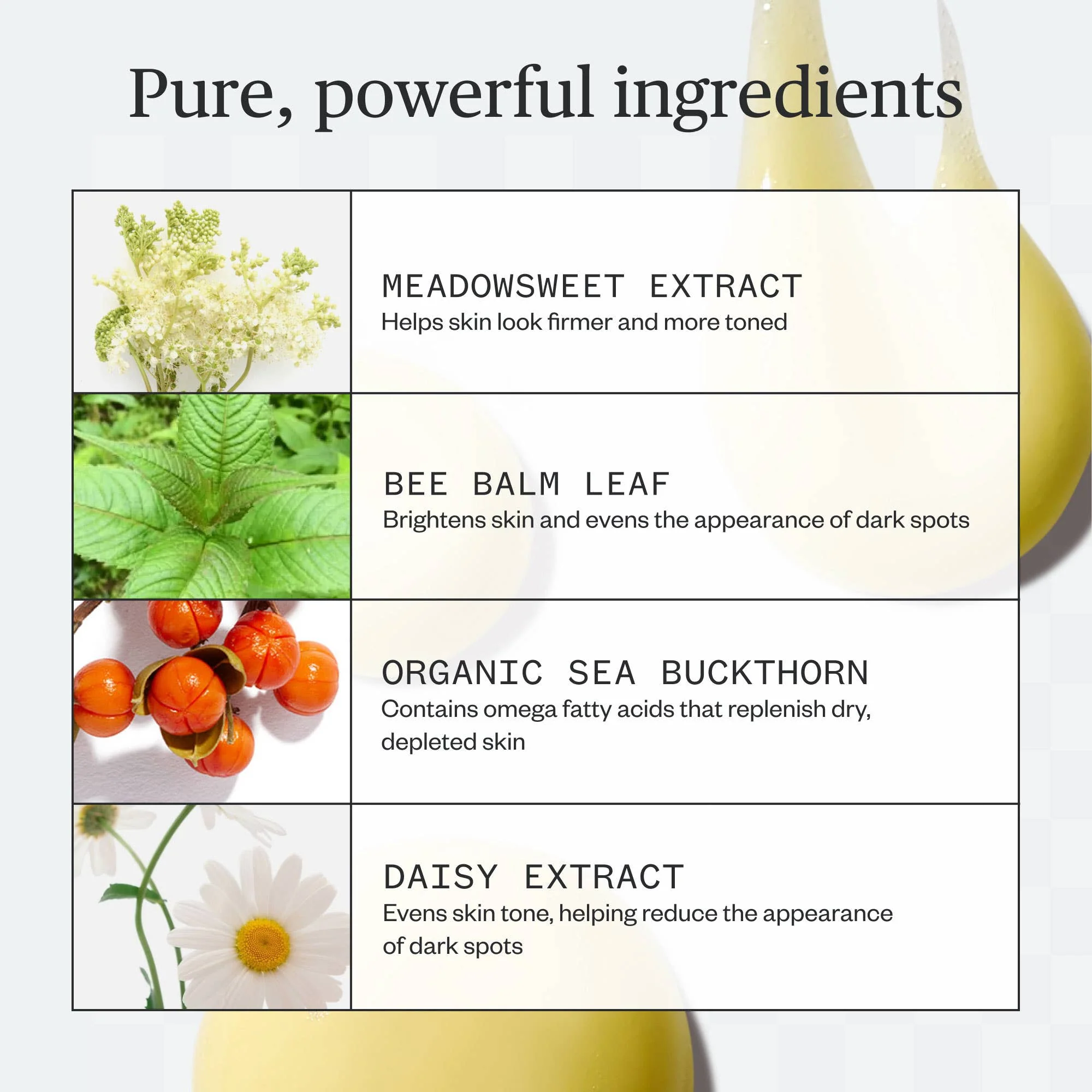 Golden Hour Body Serum - Image 6