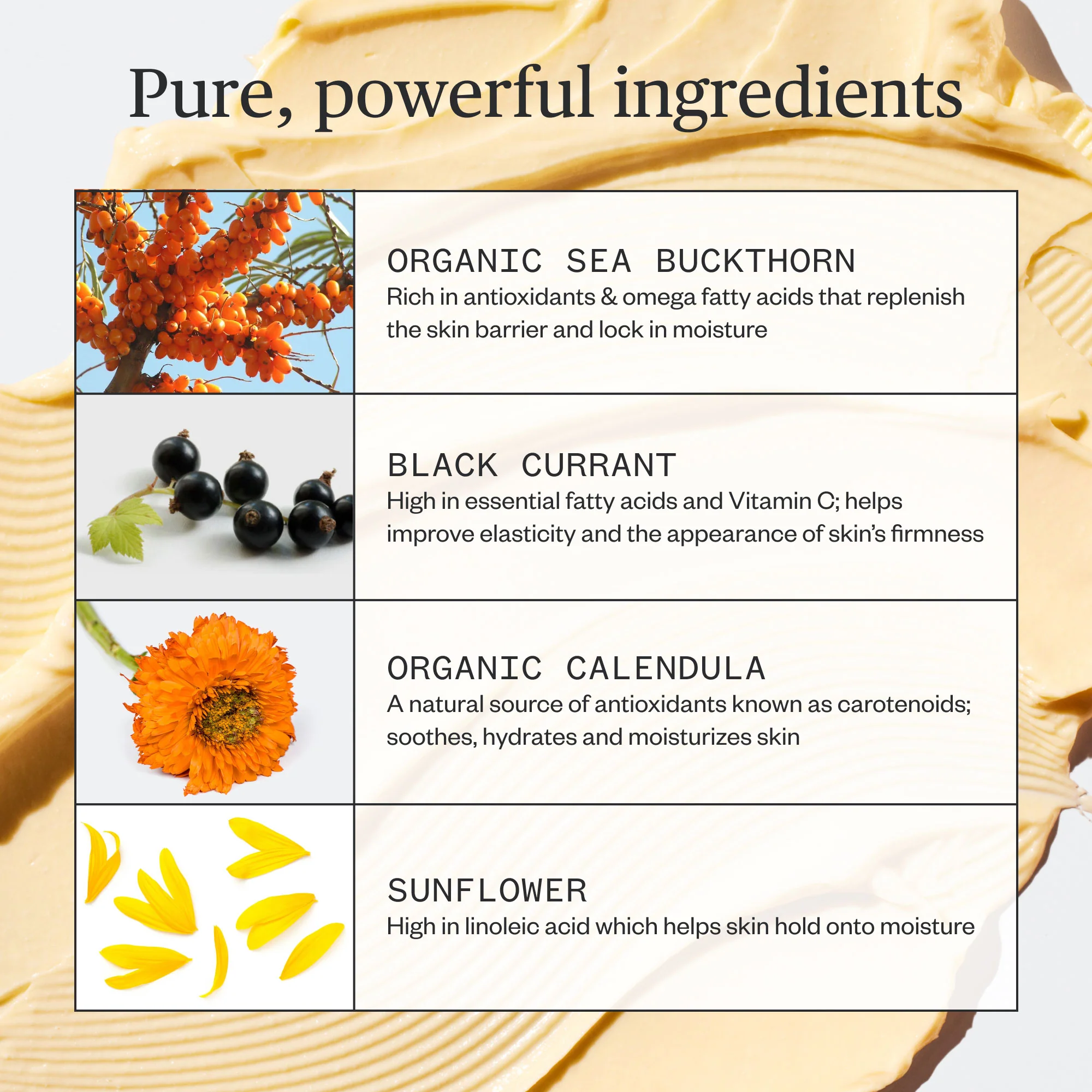 Golden Hour Recovery Cream - Image 6