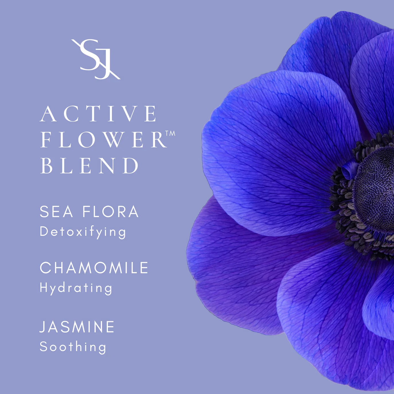 Hydrabloom Body Silk with Hyaluronic and Sea Flower Complex - Image 11