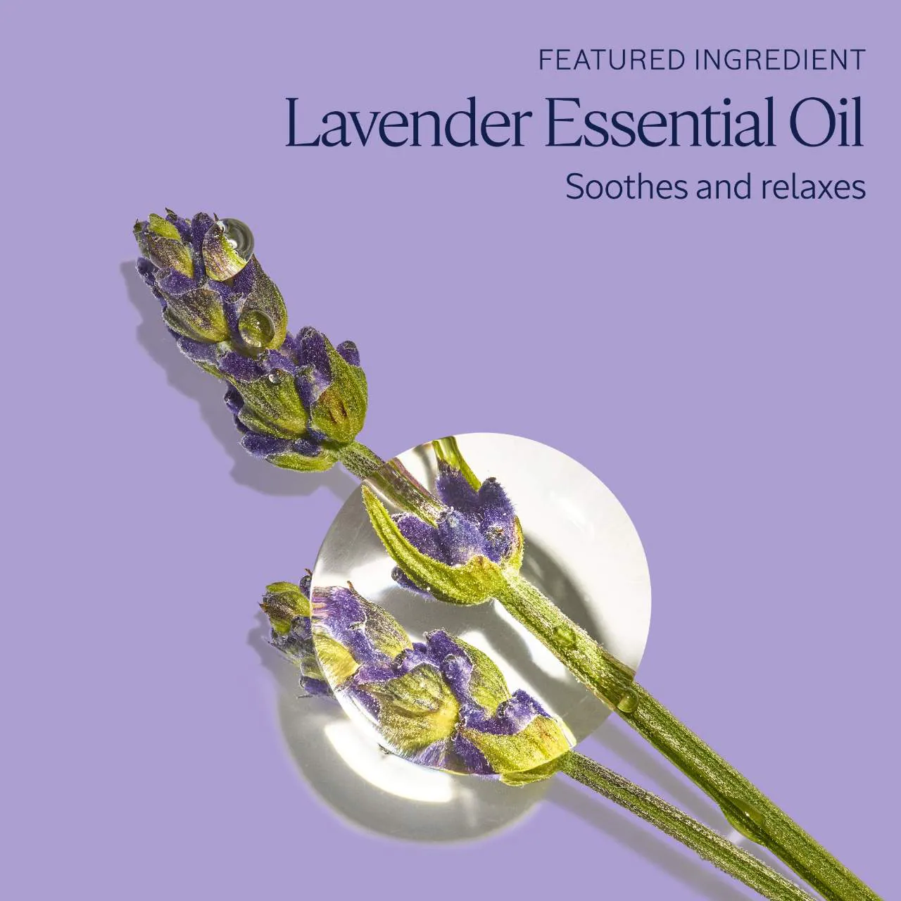 Lavender Foaming Bath - Image 4