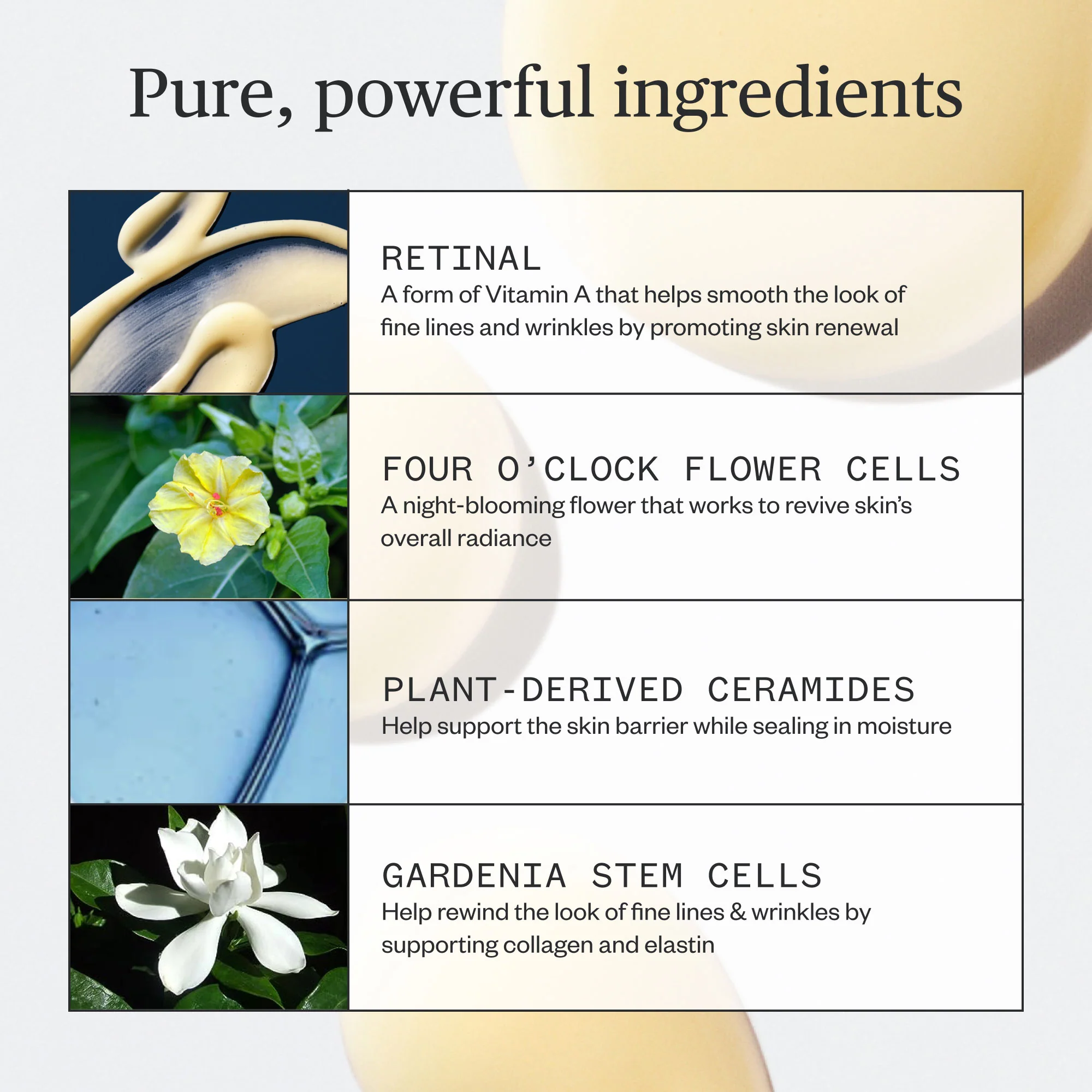 Lunar Bloom Retinal Serum - Image 8