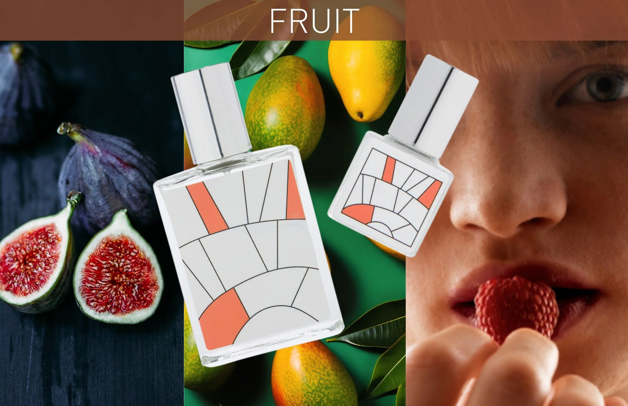 Notes of Wine FRUIT Perfume Oil - Image 5