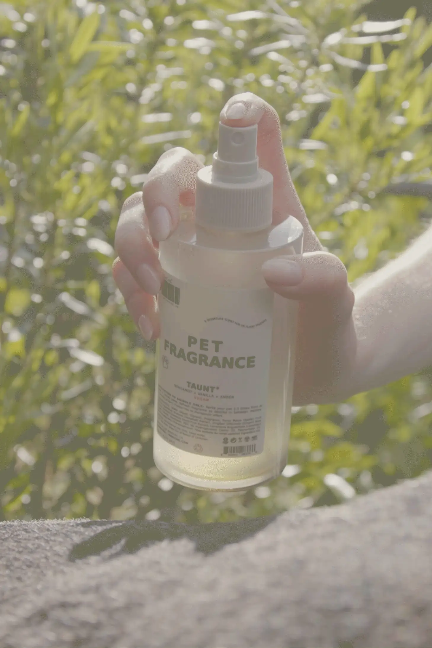 Pet Fragrance 01 "Taunt" - Image 3