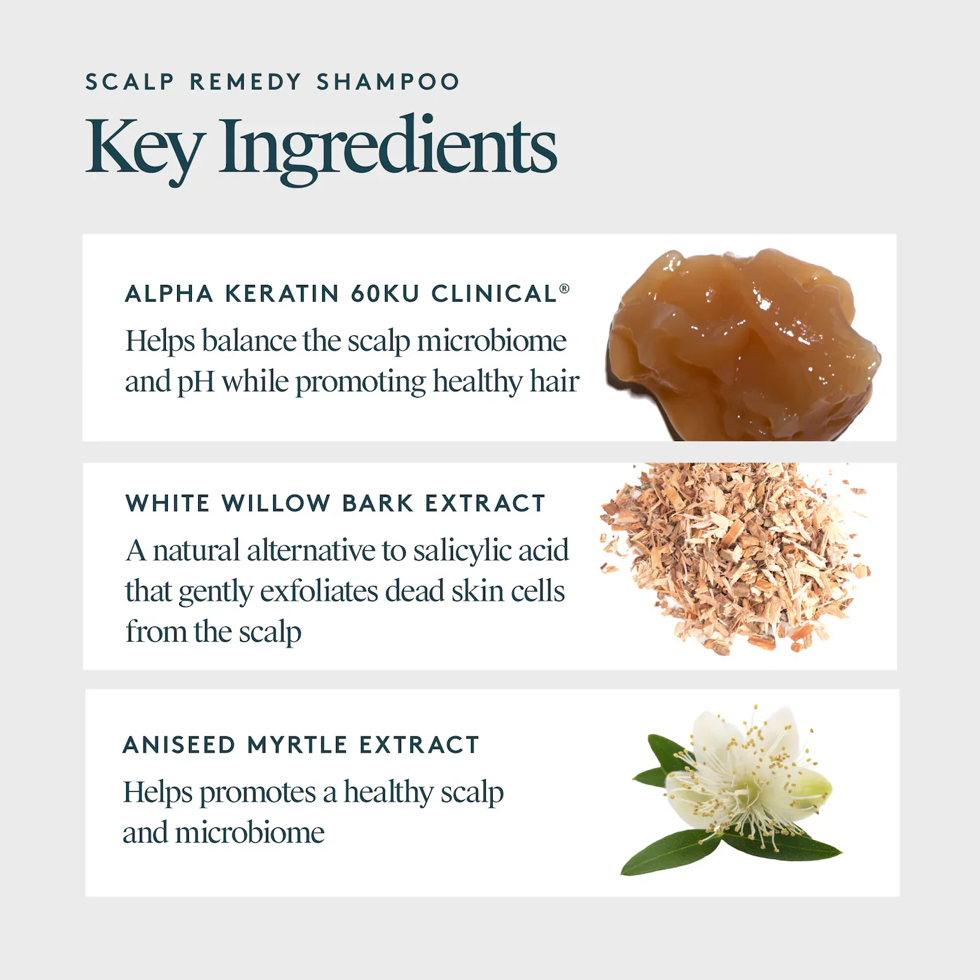 Scalp Remedy Shampoo - Image 5
