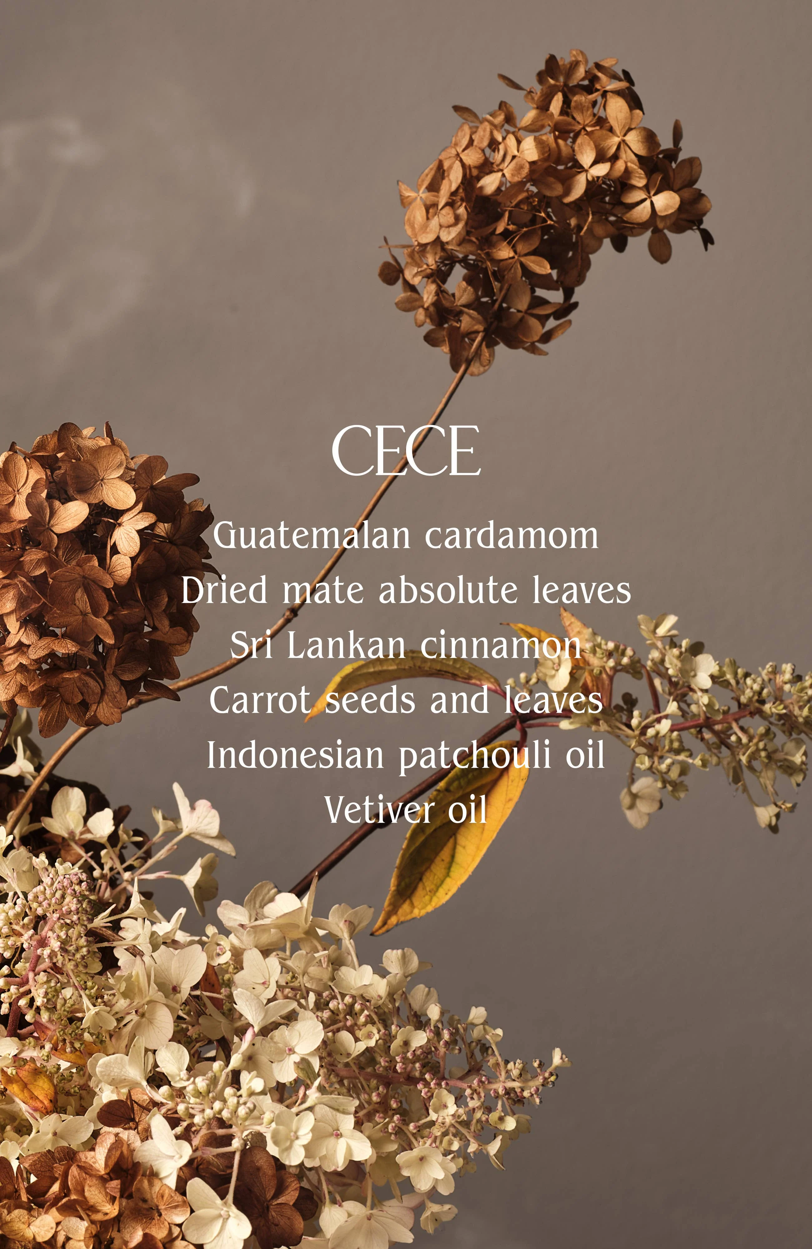 Cece Signature Ceramic Candle | Clean Burn with Luxury Fragrance - Image 3