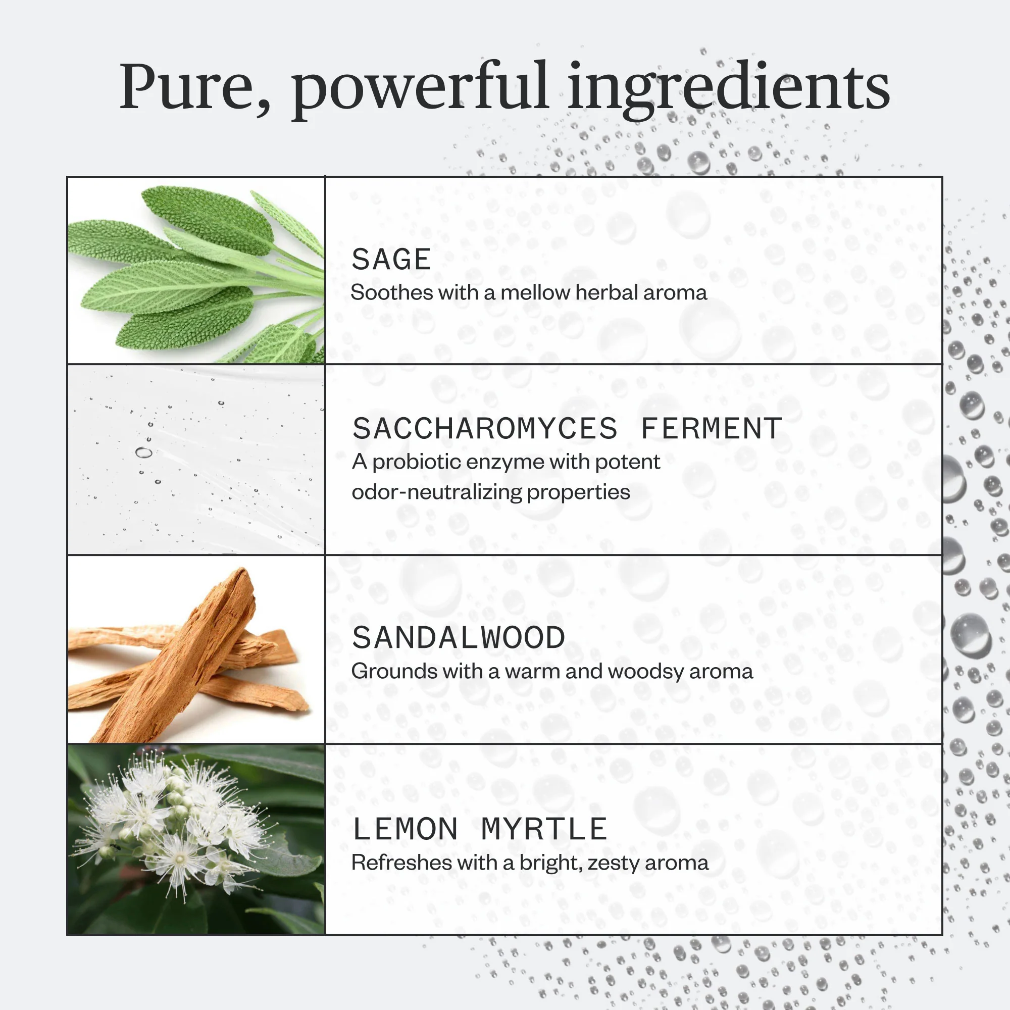 Sublime Sage Spray Deodorant - Image 4