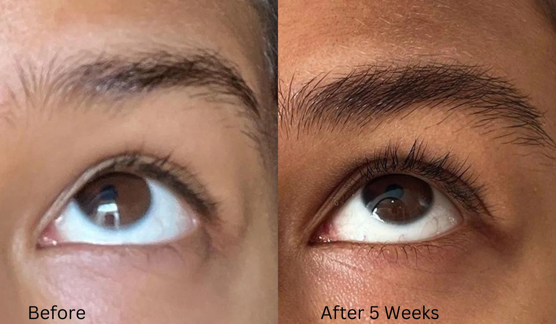 The Eyebrow and Lash Enhancing Serum - Image 7