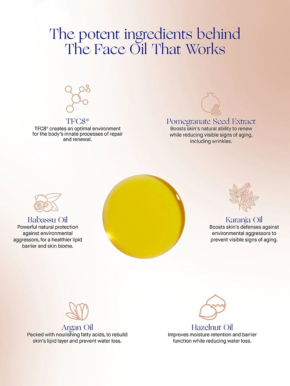The Face Oil - Image 4