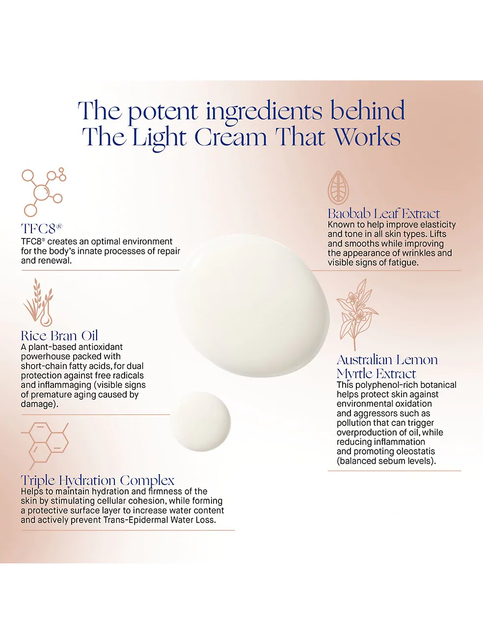 The Light Cream - Image 5