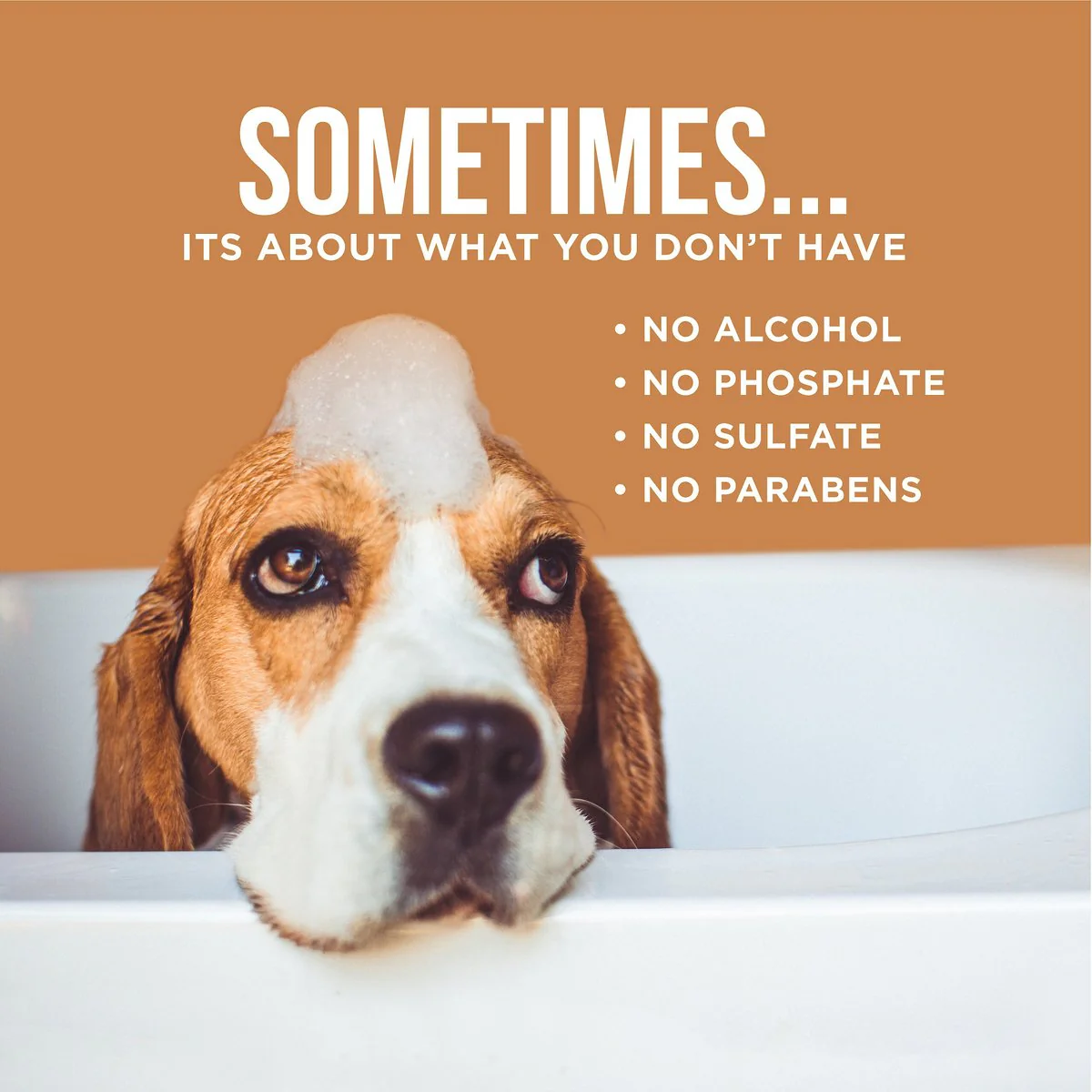 The Only Between Bath Spray Dogs Need - Image 2