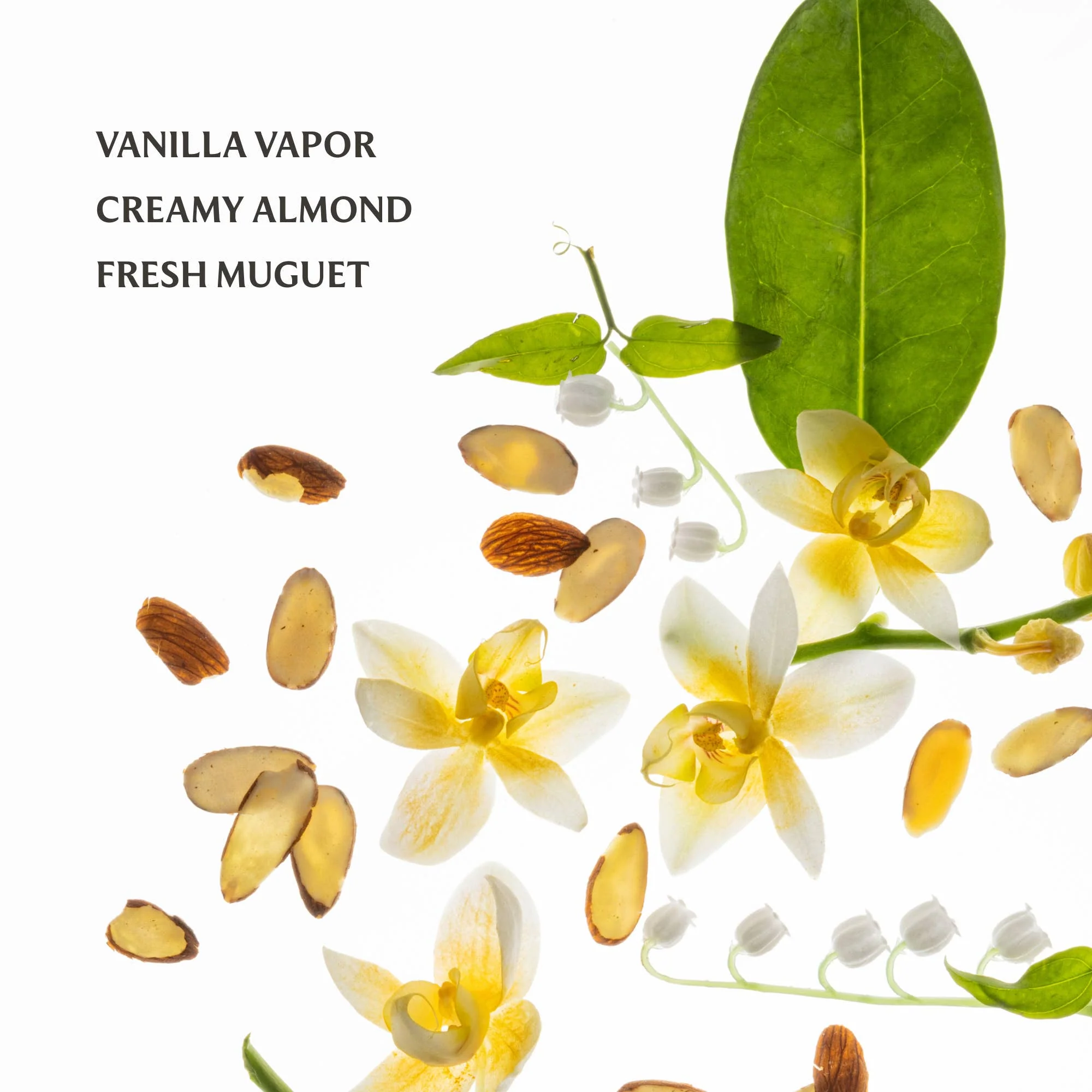 Vanilla Velvet Power Essence Body & Hair Fragrance Mist - Image 4